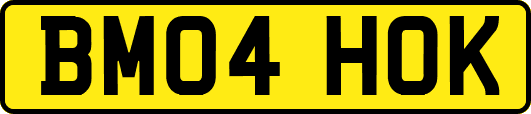 BM04HOK