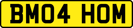 BM04HOM