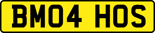 BM04HOS