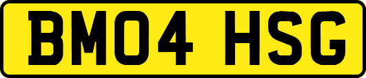 BM04HSG