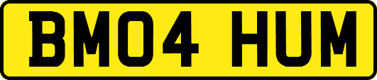 BM04HUM