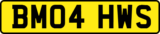 BM04HWS