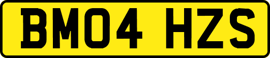 BM04HZS