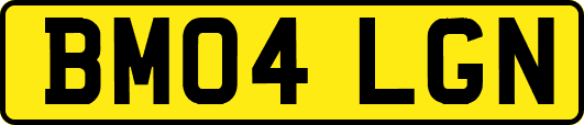 BM04LGN