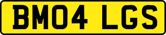 BM04LGS