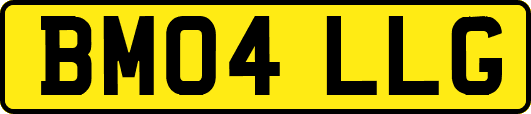 BM04LLG