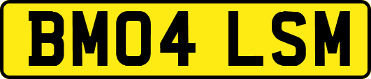 BM04LSM
