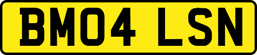 BM04LSN