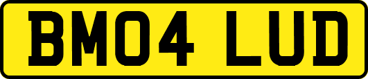 BM04LUD
