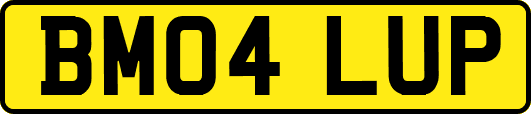 BM04LUP