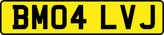 BM04LVJ