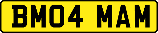 BM04MAM