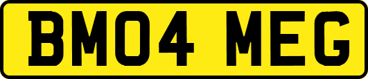 BM04MEG