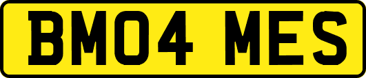 BM04MES