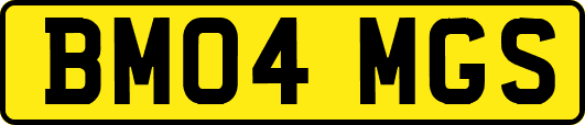 BM04MGS