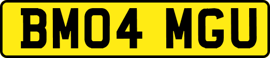 BM04MGU