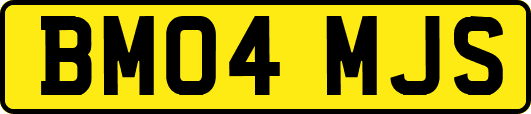 BM04MJS