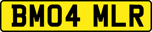 BM04MLR