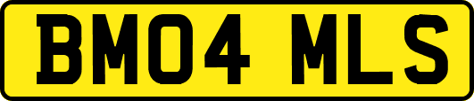 BM04MLS