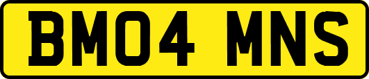 BM04MNS