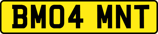 BM04MNT