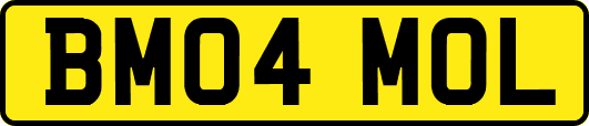 BM04MOL