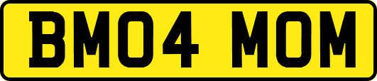 BM04MOM