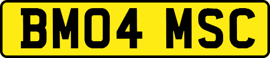 BM04MSC