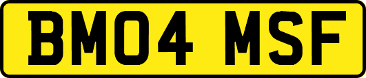 BM04MSF