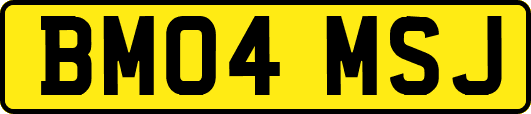 BM04MSJ