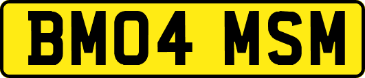 BM04MSM