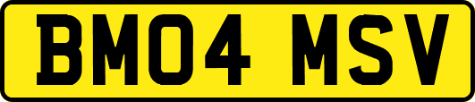BM04MSV