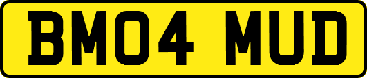 BM04MUD
