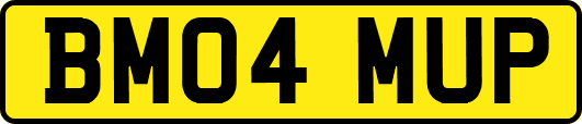 BM04MUP