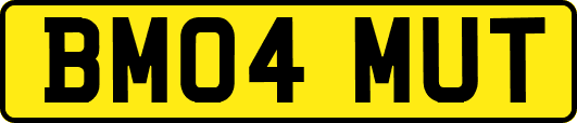 BM04MUT