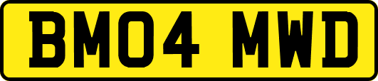 BM04MWD