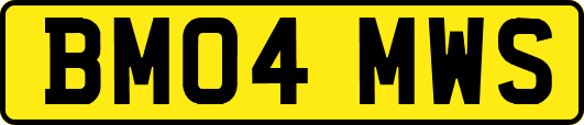 BM04MWS