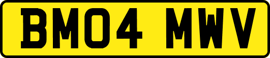 BM04MWV