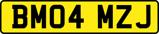 BM04MZJ