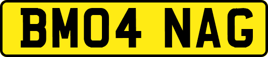 BM04NAG