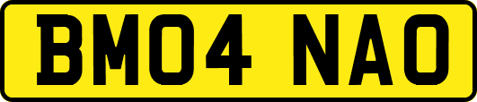 BM04NAO
