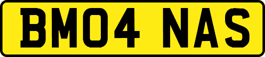 BM04NAS
