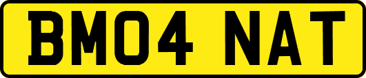 BM04NAT