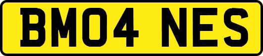 BM04NES