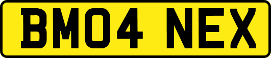 BM04NEX