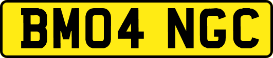 BM04NGC