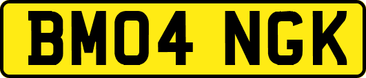 BM04NGK