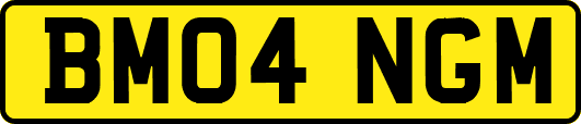 BM04NGM