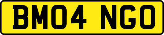 BM04NGO