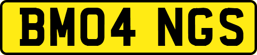 BM04NGS